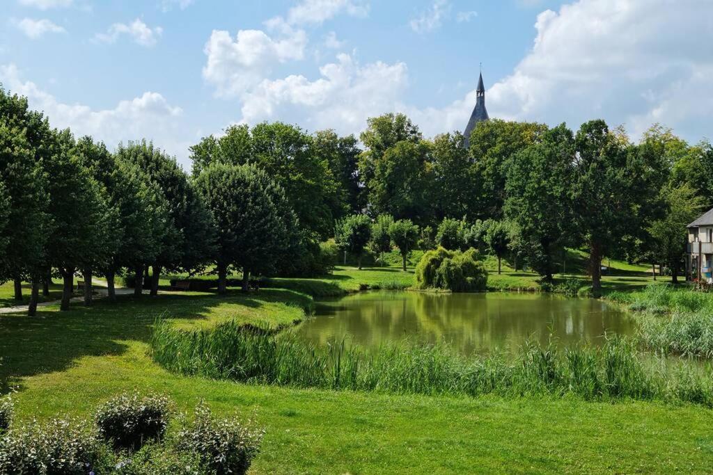 Maison Centre De Bellegarde Avec Jardin Et Terrasse Equipee D'Un Salon De Jardin Et D'Un Barbecue Cuisine Equipee 3 Chambres Avec 2 Lits Double 140X190 Et 2 Lits Simple Chauffage Poele A Granules Parking Gratuit Devant La Maison Bellegarde-du-Loiret Buitenkant foto